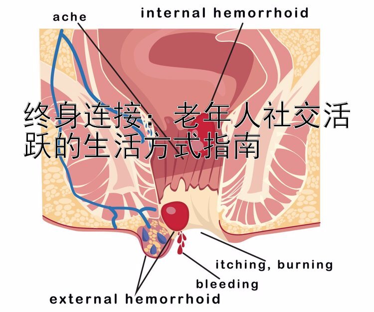 终身连接：老年人社交活跃的生活方式指南